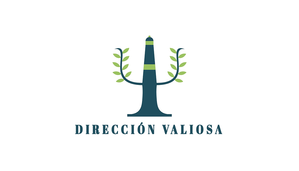 DIRECCIÓN VALIOSA logo dirección valiosa
